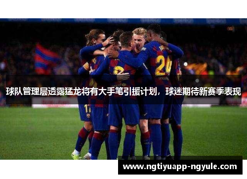 球队管理层透露猛龙将有大手笔引援计划，球迷期待新赛季表现